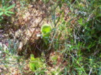 100_1588.jpg